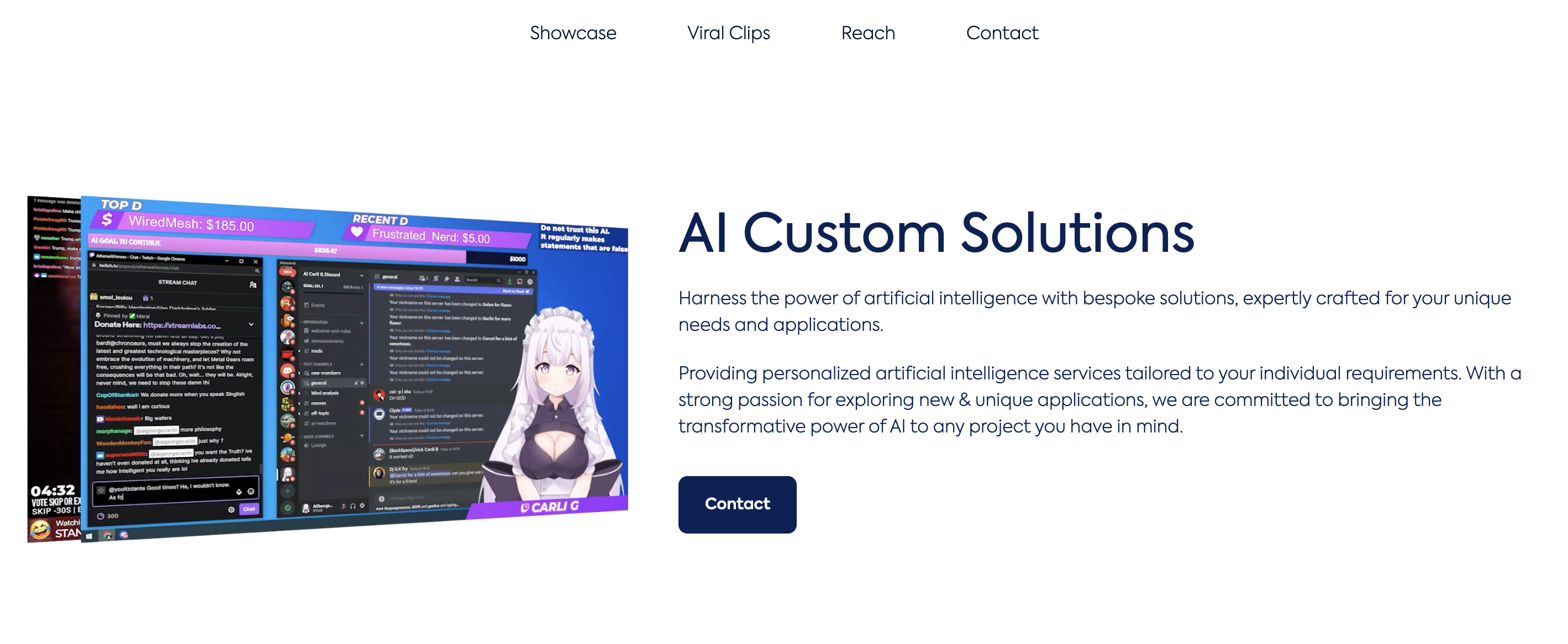 AI Custom Solutions